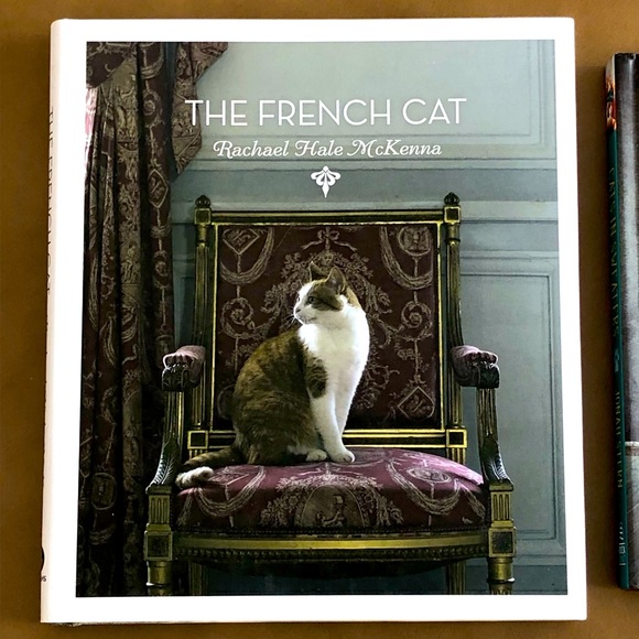 The French Cat and Cat in Sweaters - Picture 4 of 5